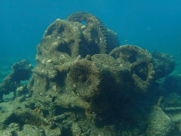 The Year in Wrecks, Lost Ships, and Underwater Discoveries