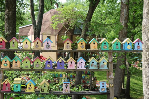 Birdhouse Paradise of Bill Larkin.
