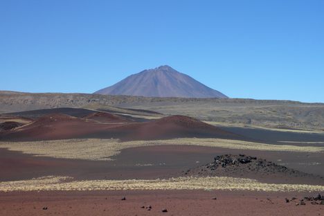 La Payunia Reserve