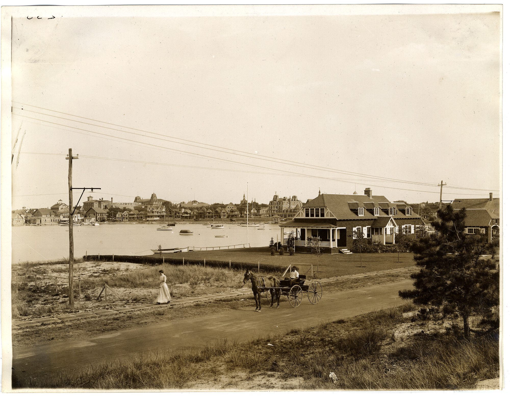 A man driving a horse and carriage on Highland Drive, Oak Bluffs, Martha's Vineyard c. 1906.