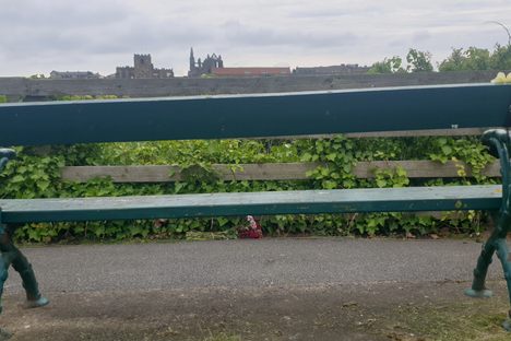 Bram Stoker Memorial Seat