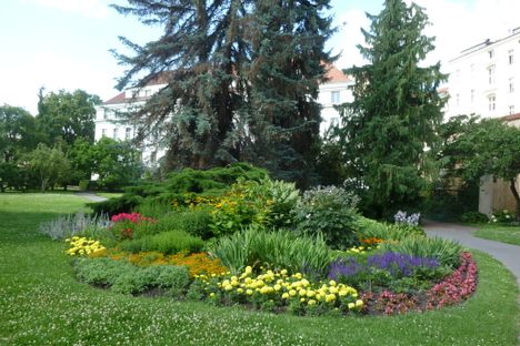 Flowers in summer bloom