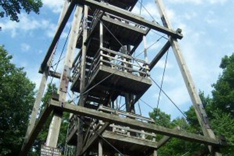 Timms Hill