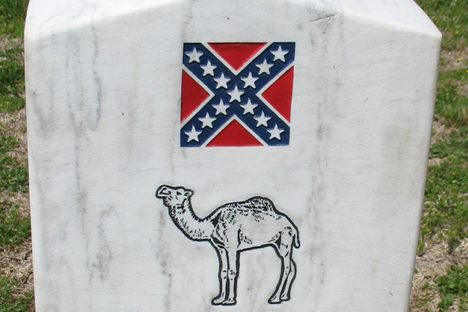 Douglas's marker in Cedar Hill Cemetery
