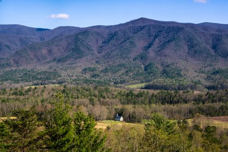 The Great Smoky Mountains' 'Missing Link'  