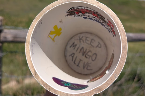 Keep Mingo Alive Another 25 Years!