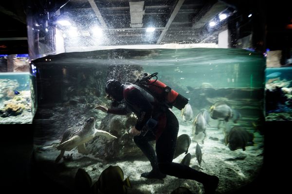 Aquarium Maintenance - A R Exotics