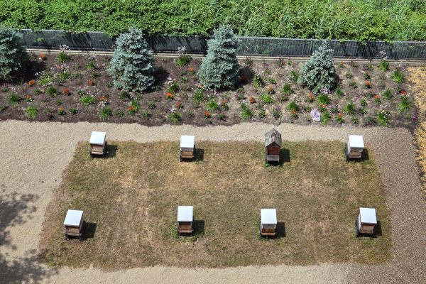 Beehives