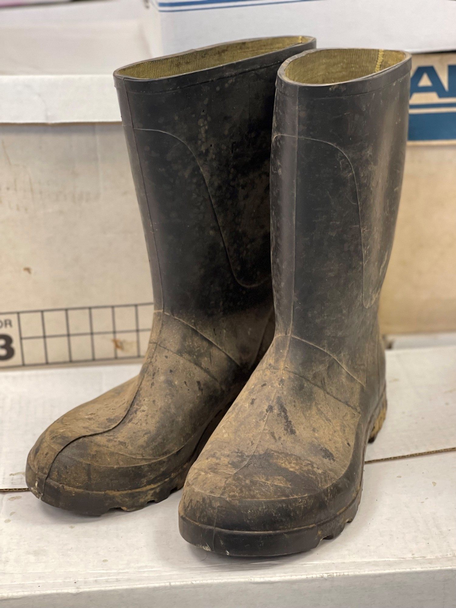 The boots of Olmo, a swashbuckling viticulture professor and grape breeder.
