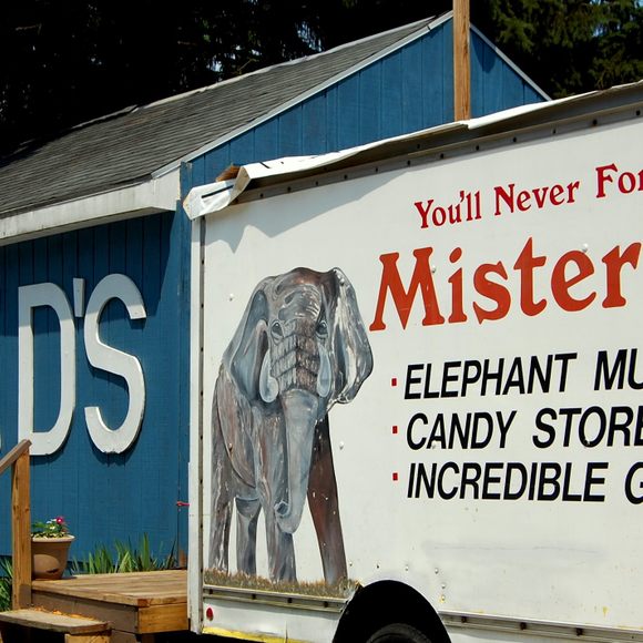 Toxic Waste – Mister Ed's Elephant Museum & Candy Emporium