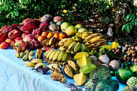 An assortment of tropical fruit at Miami Fruit Farm in Homestead, Florida.