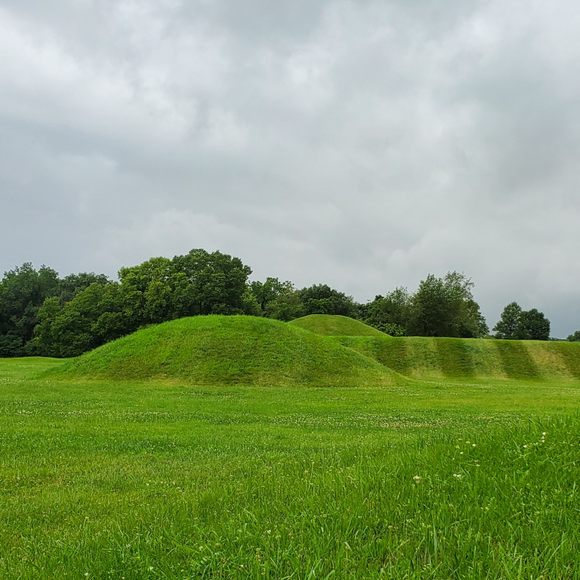 Hopewell Culture Seashells (U.S. National Park Service)