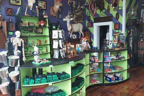 Eyegore's Odditorium and Monster Museum 