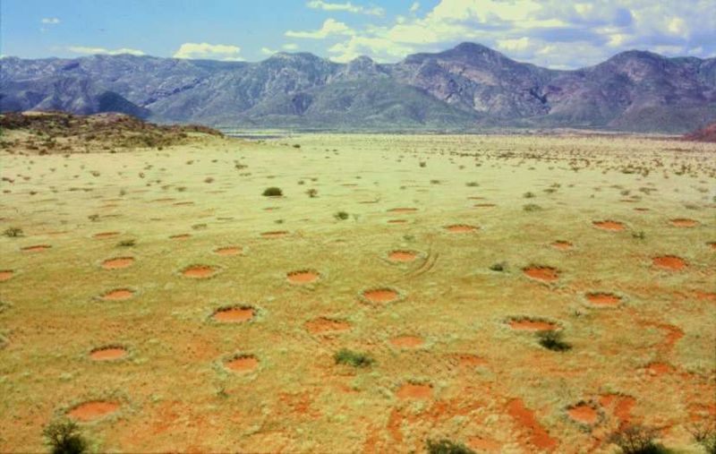 Scientists Have a New Idea About the Origins of Namibia's Fairy Circles - Atlas Obscura