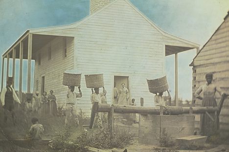 Found: The Oldest-Known Photograph of Enslaved African Americans With Cotton