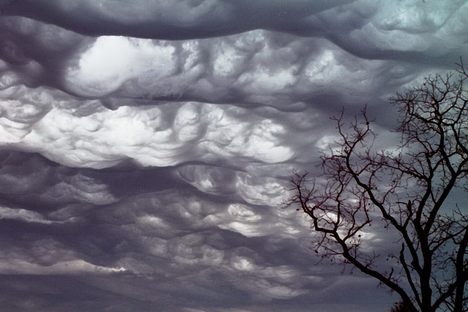 Chasing Clouds: How an Enthusiast Discovered the First New Cloud in 60 Years