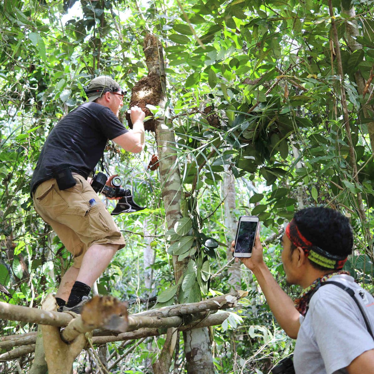 Natural history photographer Clay Bolt examines the termite nest while perched atop a makeshift platform.