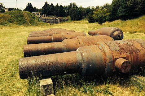 Rifled cannons.