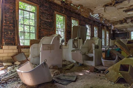 Forest Haven Asylum 