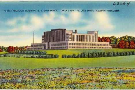 An old postcard showing the Forest Products Building c. 1930. 