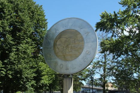 Giant Toonie