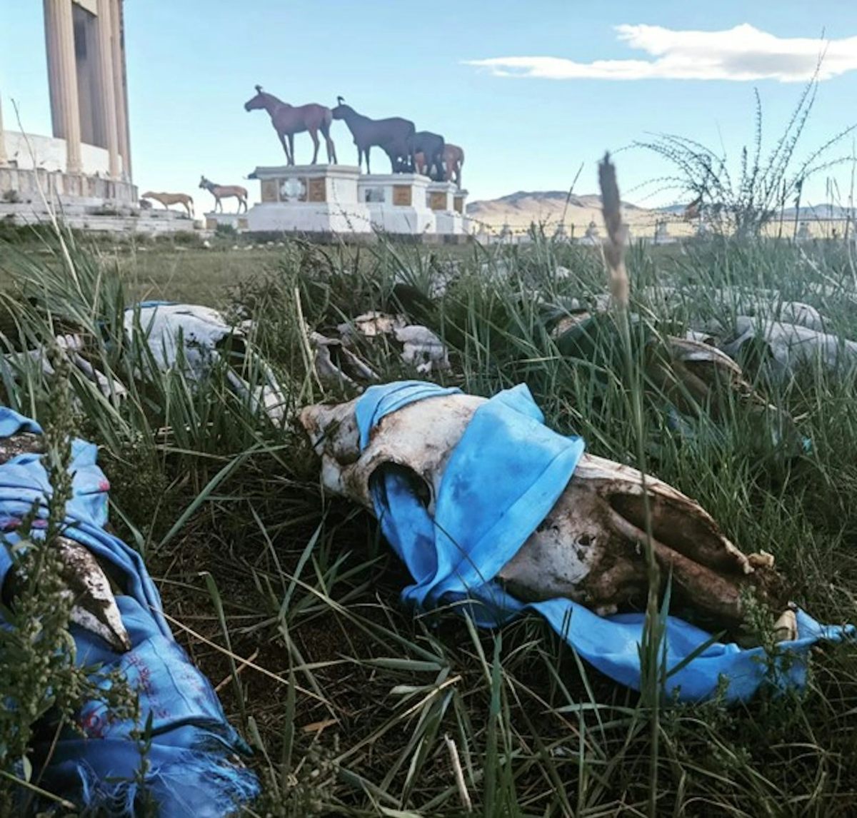 Horses have long been revered in the steppes of Inner Asia, as seen by the horse skulls and prayer flags at this monument to racehorses in central Mongolia.