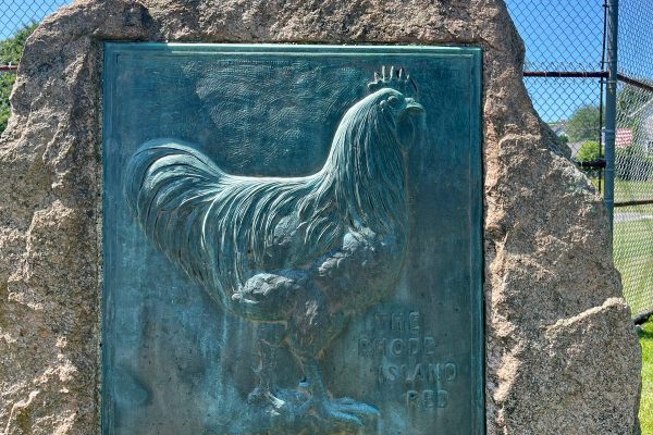 A bronze plaque with a rooster mounted on an upright granite stone