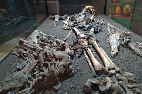 Archaeological Museum Benahoarita.