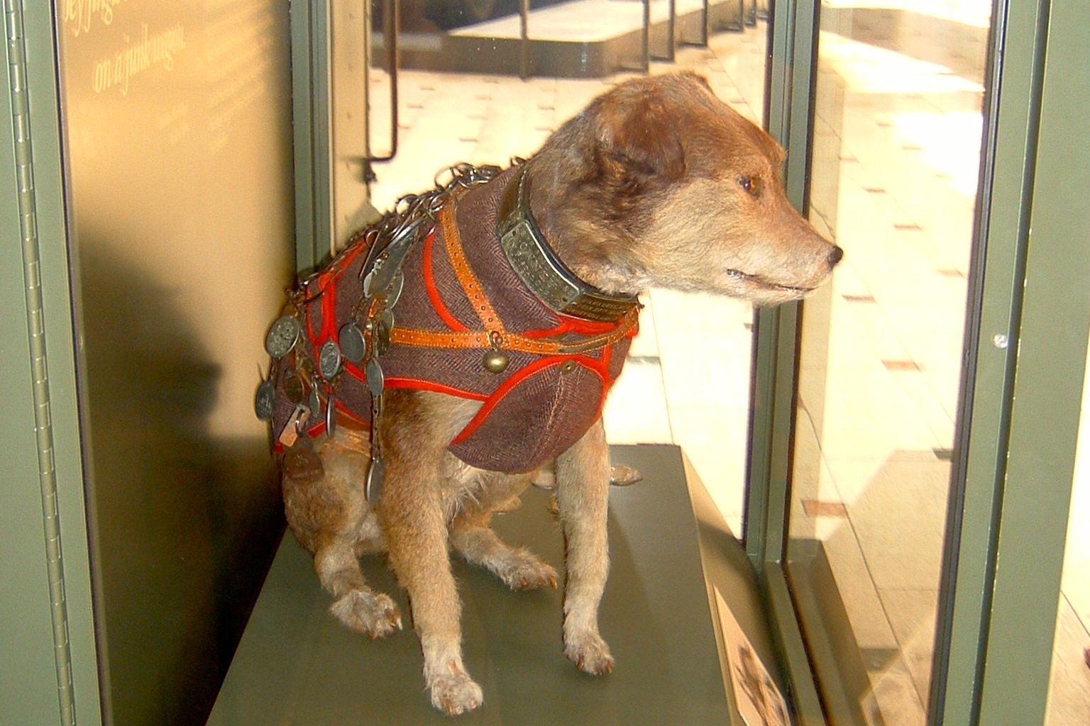 Owney the Postal Dog