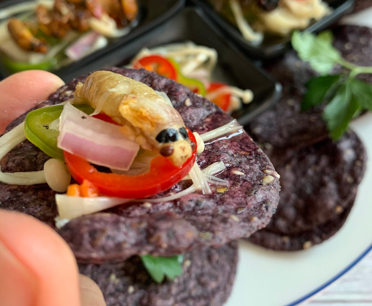 Yoon served his cicada ceviche on blue corn tortilla chips.