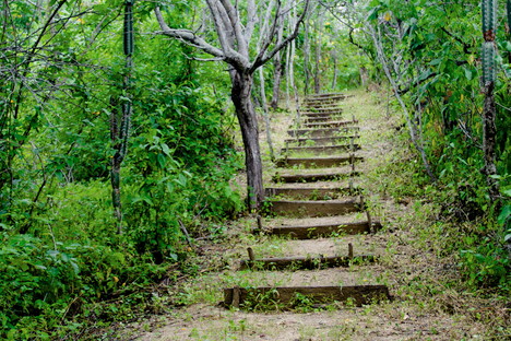 Hiking trail