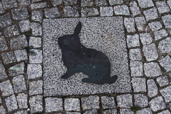 Kaninchenfeld (Rabbit Field).