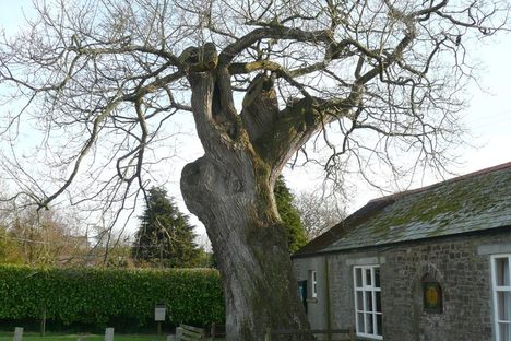 Devil’s Stone