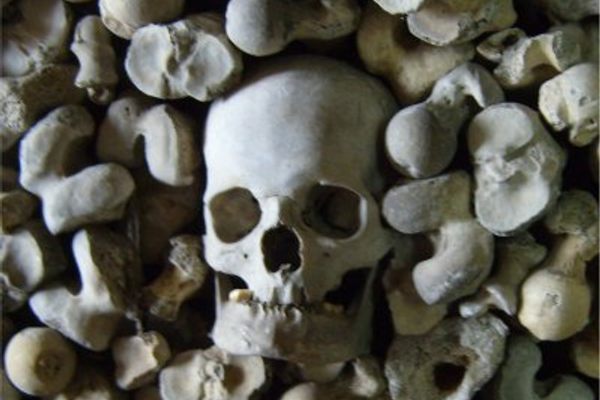 Skull and bones in the crypt