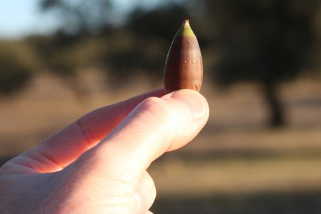 Unconventional Foraging