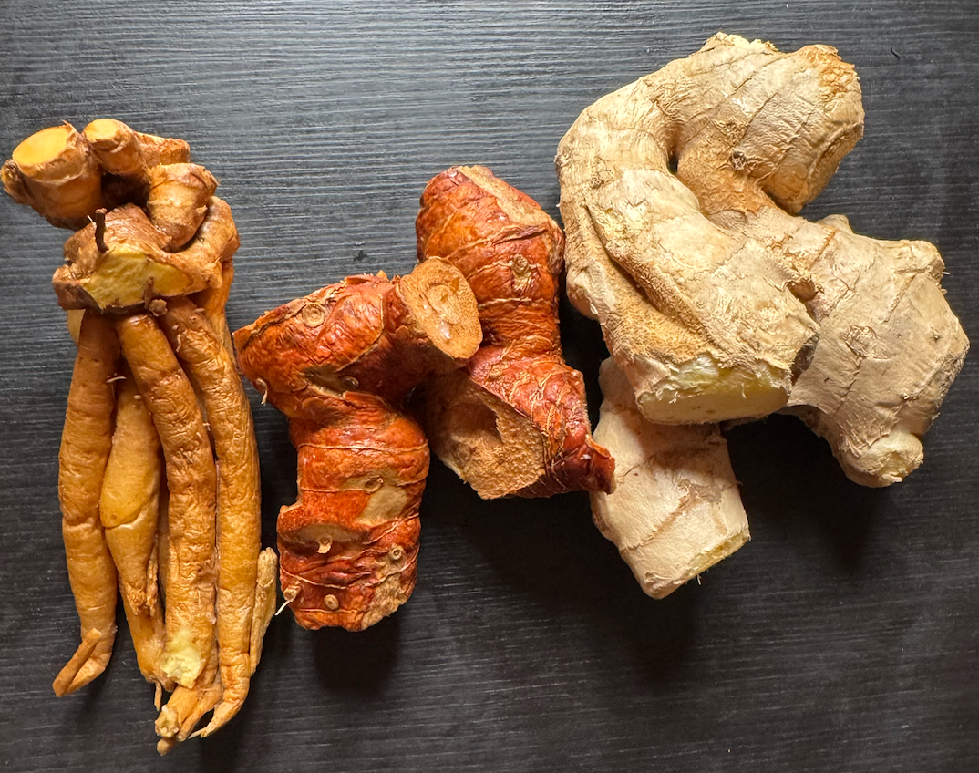 From left to right: <em>krachai</em>, galangal, ginger.