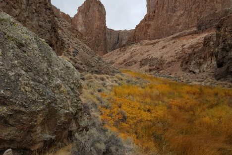 Near eastern mouth of Thousand Creek Gorge.