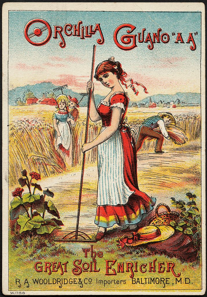 This late 19th century ad for "Orchilla Guano A.A." emphasizes the tail end of the fertilizing process.