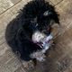 mhask62458 profile photo