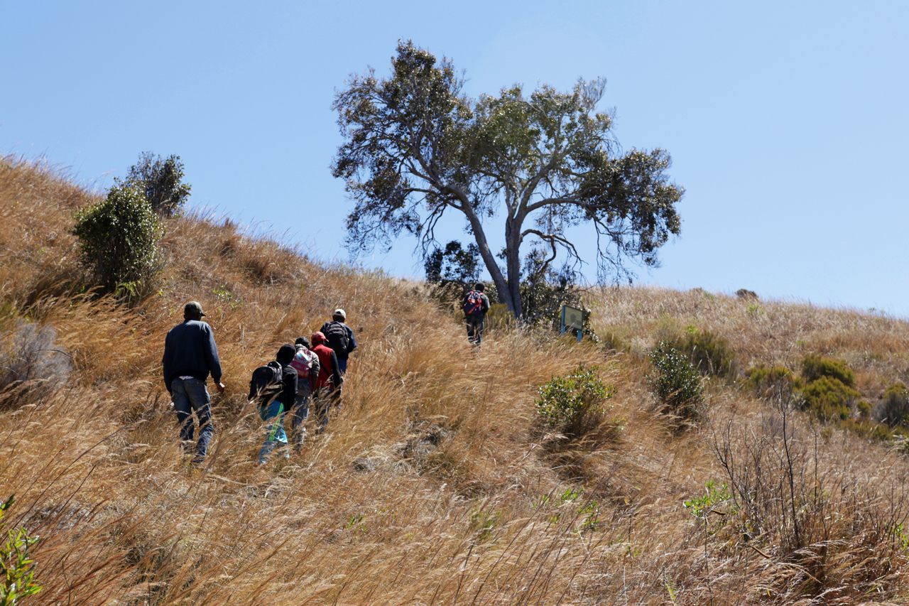 Conservationists from the local communities hike up a grassy hill toward one of the last remaining wild sohiska trees. The tree was once plentiful here, but its total numbers in the wild are now in the low hundreds.