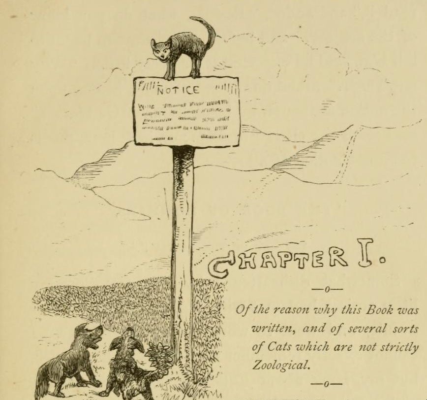 The book was "not strictly Zoological."