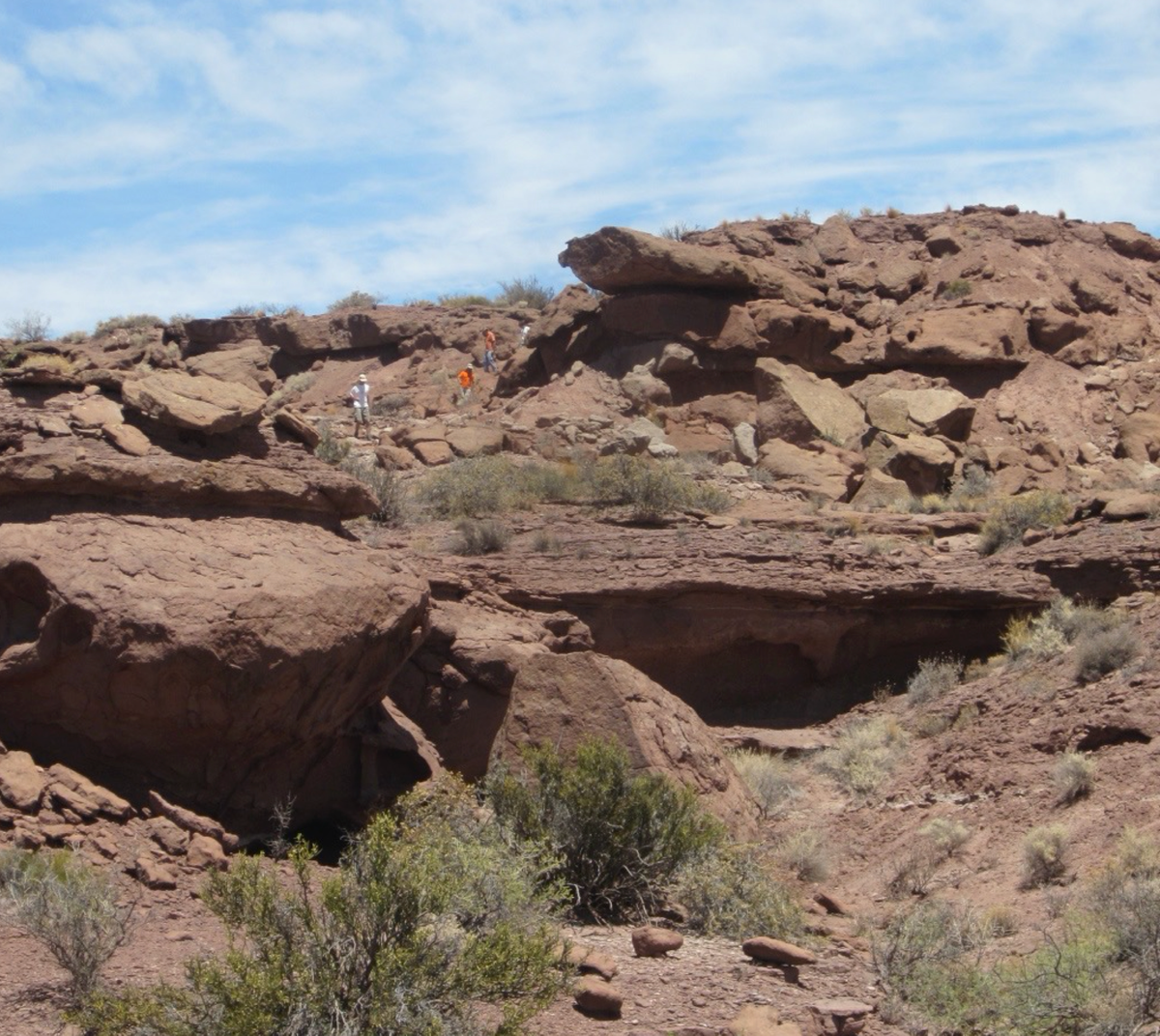 At the <em>Meraxes</em> site, hard sandstone caps softer mudstone, some of which had washed away, leaving overhangs that exposed some of the fossils from below.