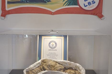 Like dinosaur poop? Here's a 20-pound scoop