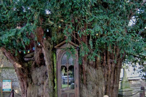 La Haye-de-Routot’s Tree Chapels