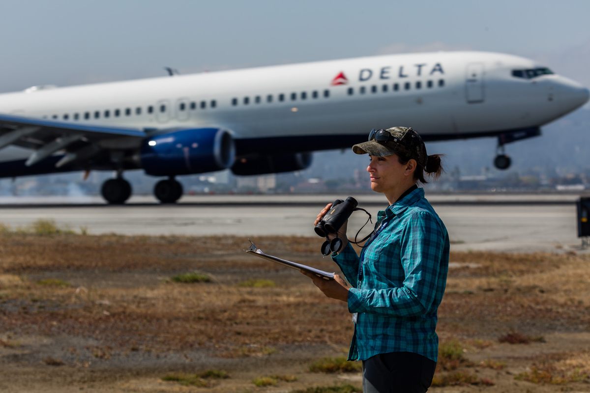 SFO airport biologist Natalie Reeder has led the effort to protect and preserve the West of Bayshore property.