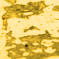 Profile image for parrishhuynh45jdbool
