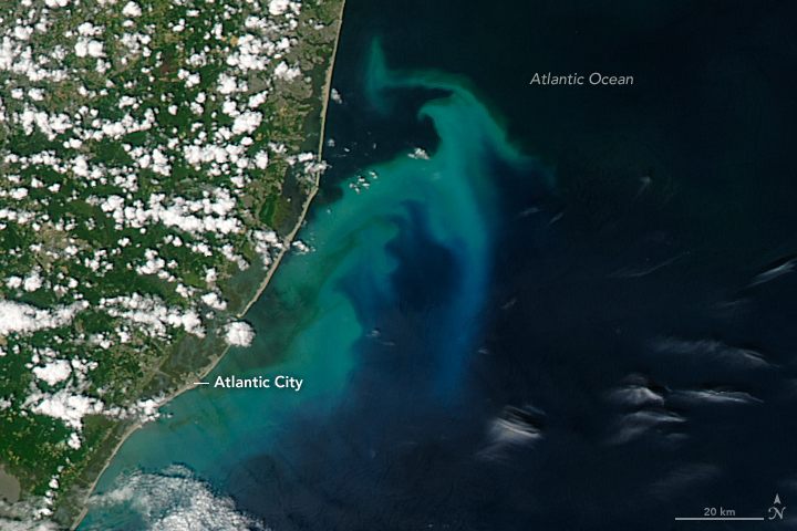 The phytoplankton bloom turning South Jersey tropical.
