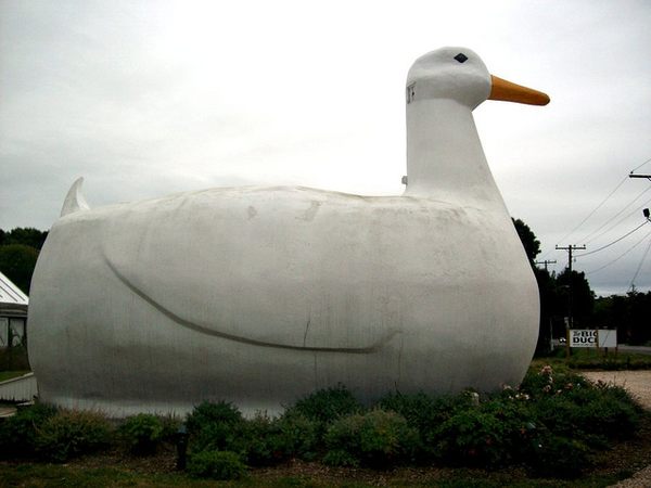 The sales giant duck