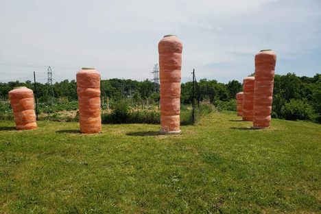 Giant carrots.