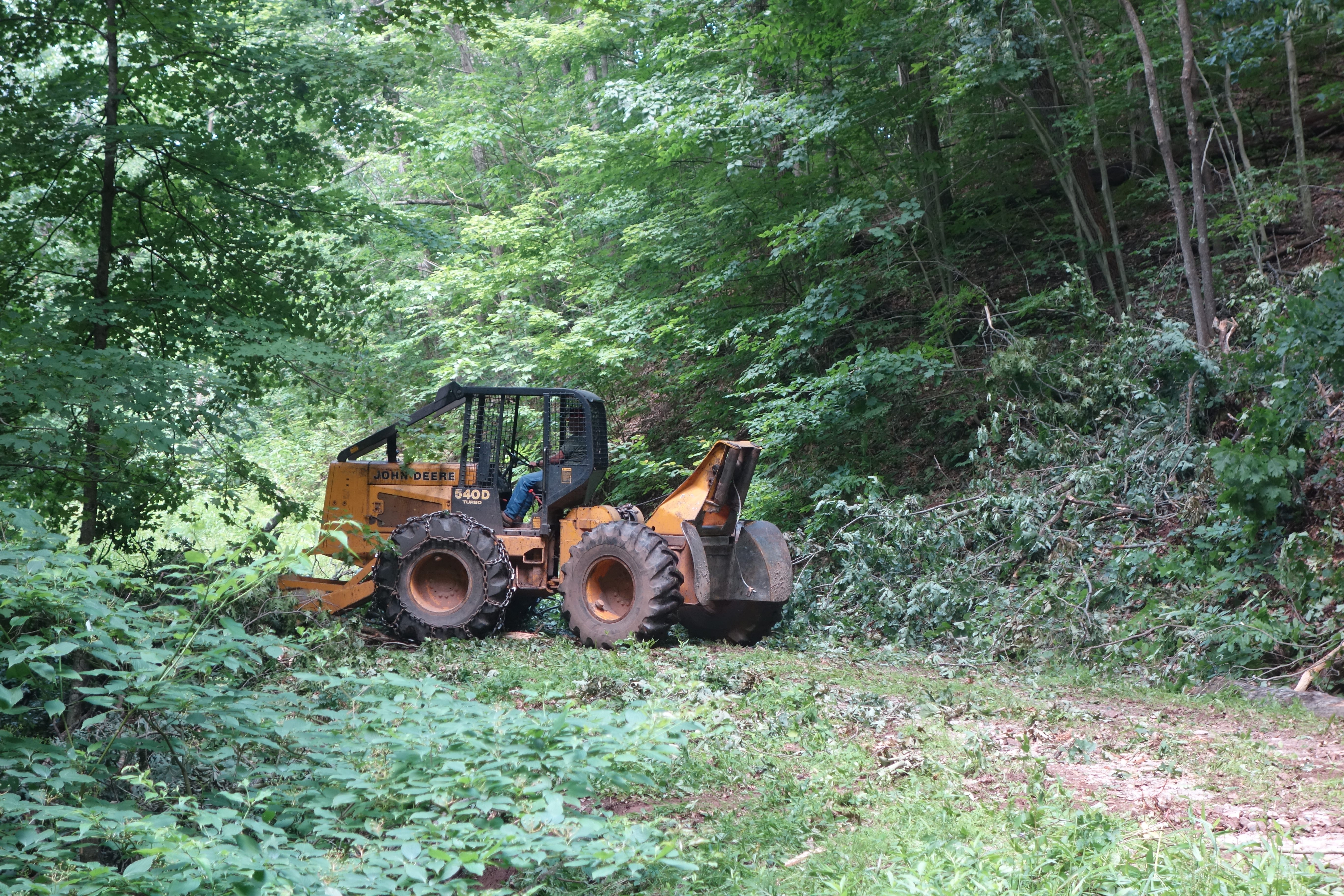 Skidders like this one do what buffalo used to do: run over the clover—and help the plant grow. 